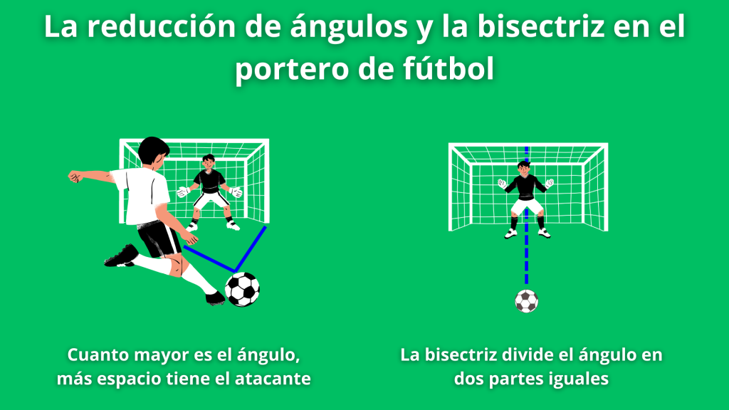 La reducción de ángulos y la bisectriz en el portero de fútbol