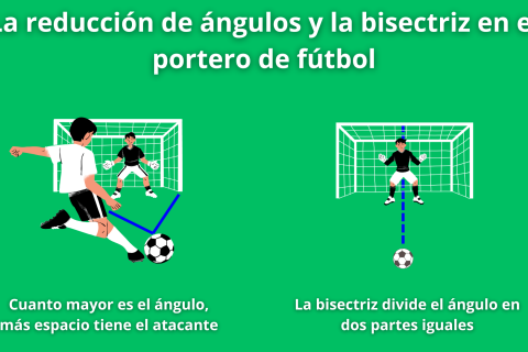 La reducción de ángulos y la bisectriz en el portero de fútbol
